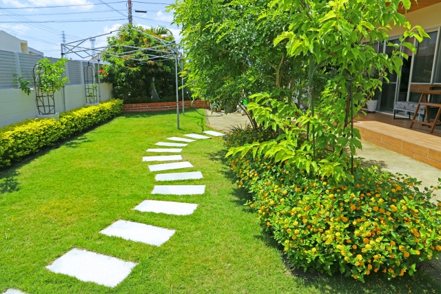 庭の「シンボルツリー」を選ぶ!育てやすさとデザインのポイント